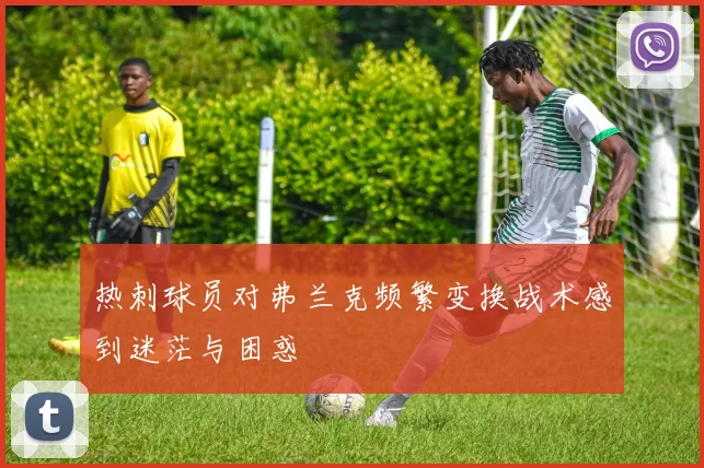 热刺球员对弗兰克频繁变换战术感到迷茫与困惑