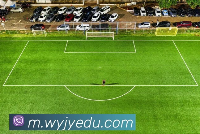 乐鱼网页版APP 封面图